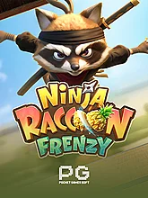 Ninja Raccoon Frenzy