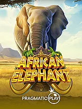 African Elephant™